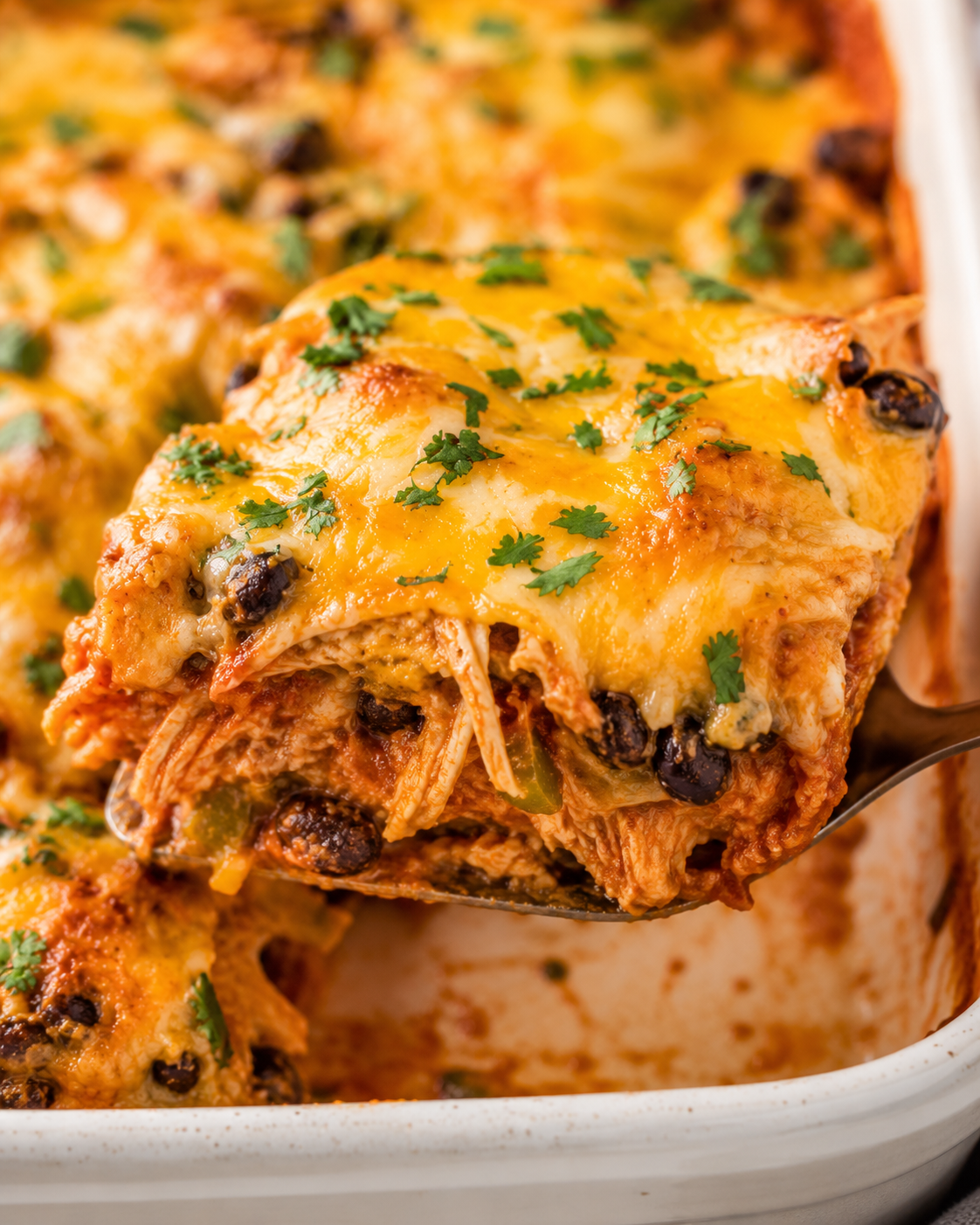Generated image 3 for Chicken Enchilada Casserole